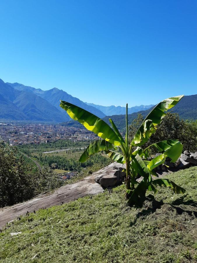 Ossola Dal Monte - Affittacamere Crevoladossola المظهر الخارجي الصورة